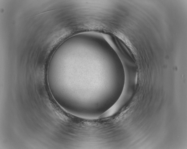 X0000088440442200705221316