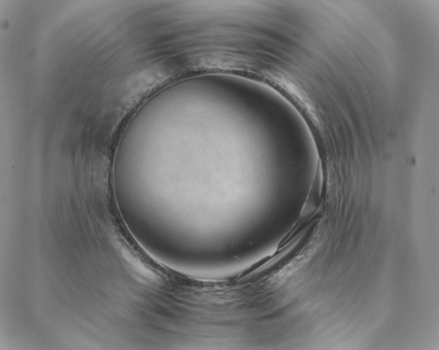 X0000088440445200705221316