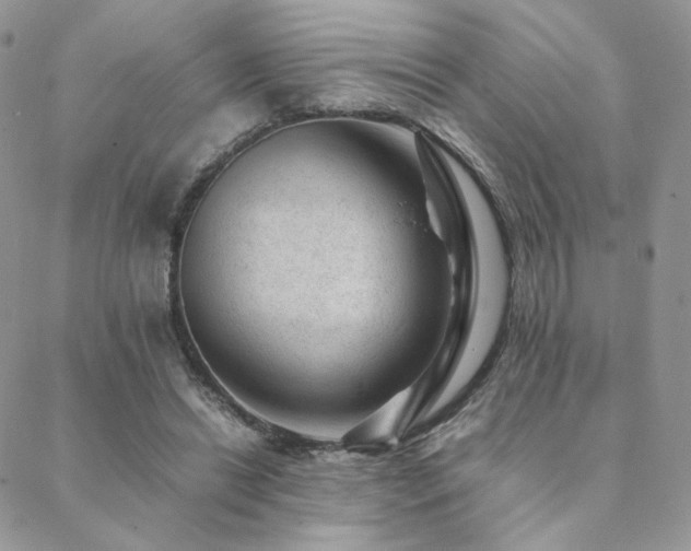 X0000088440446200705221316