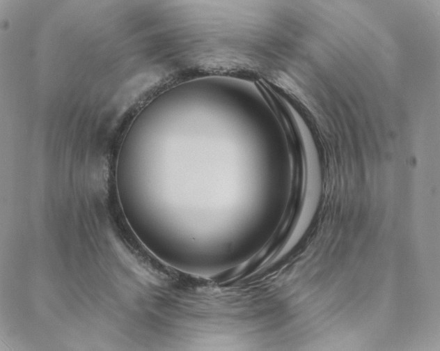 X0000088440448200705221316