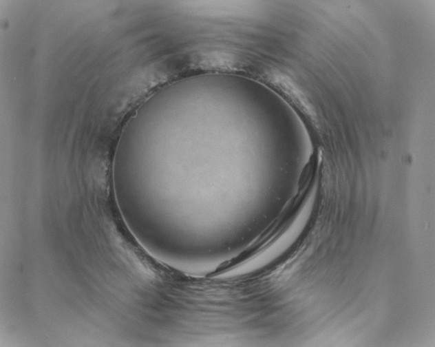 X0000088440449200705221316