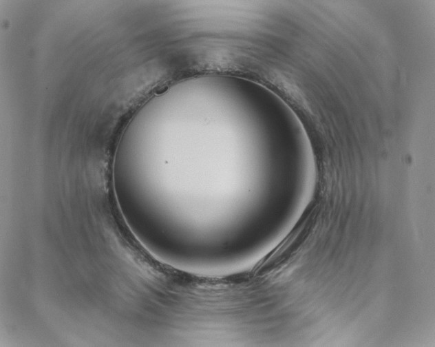 X0000088440450200705221316