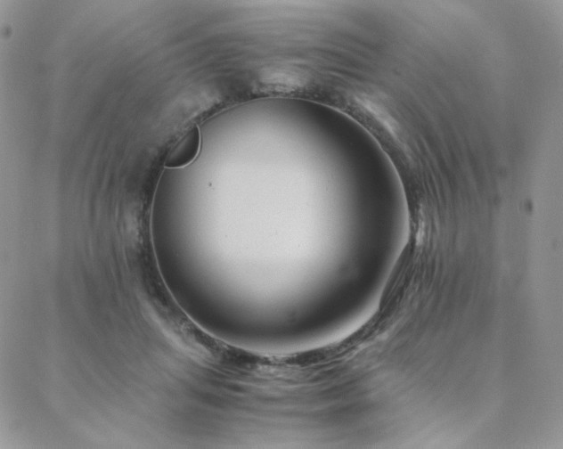 X0000088440455200705221317