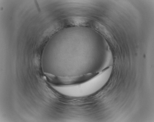 X0000088440461200705221317