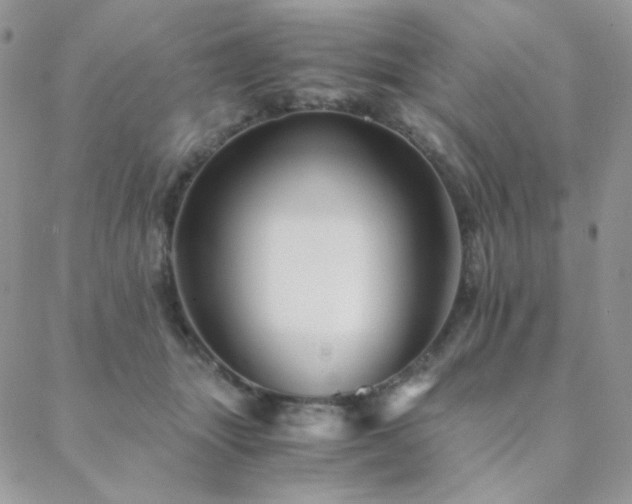 X0000088440463200705221317