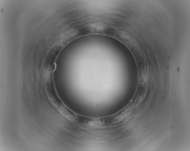 X0000088440468200705221317