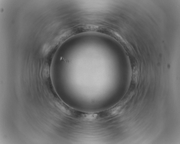 X0000088440474200705221317