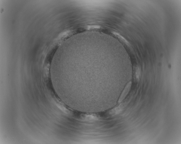 X0000088440475200705221317