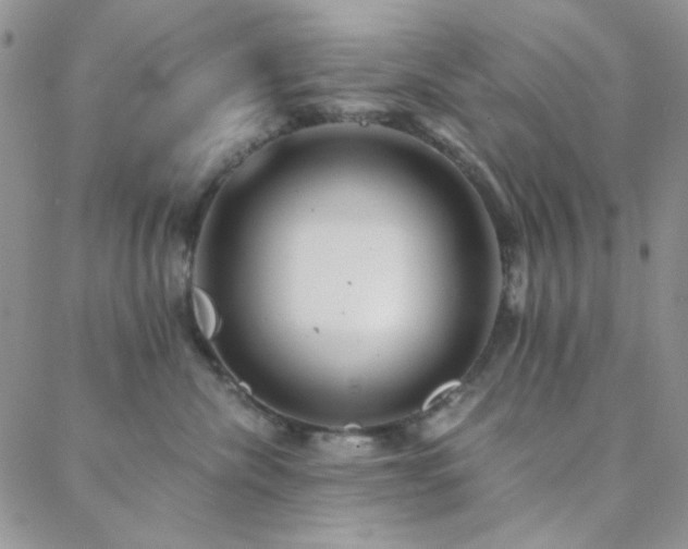 X0000088440476200705221317