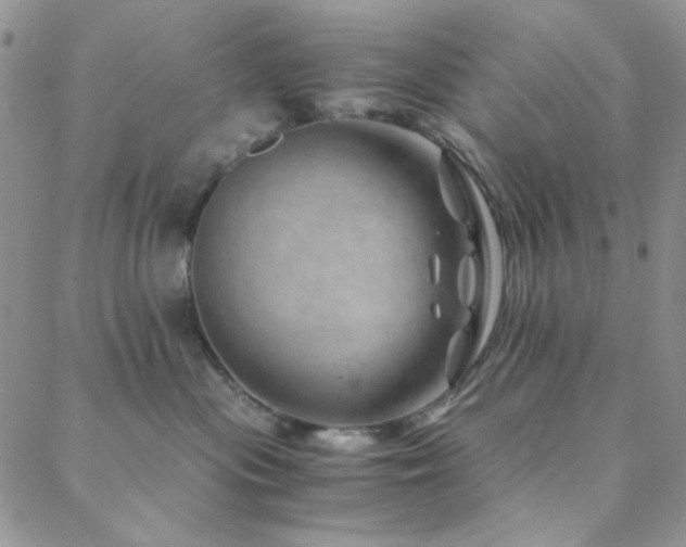 X0000088440477200705221317