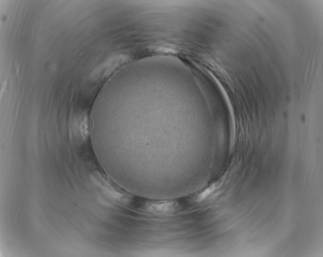 X0000088440479200705221317