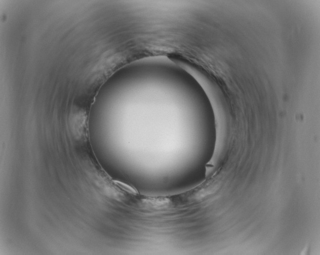 X0000088440480200705221317