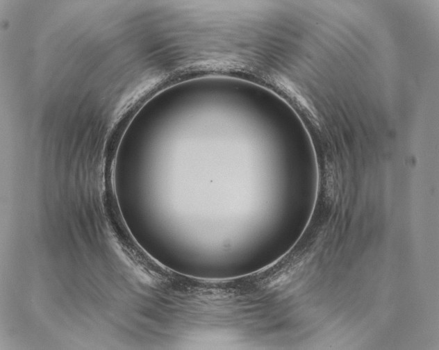 X0000088440486200705221316