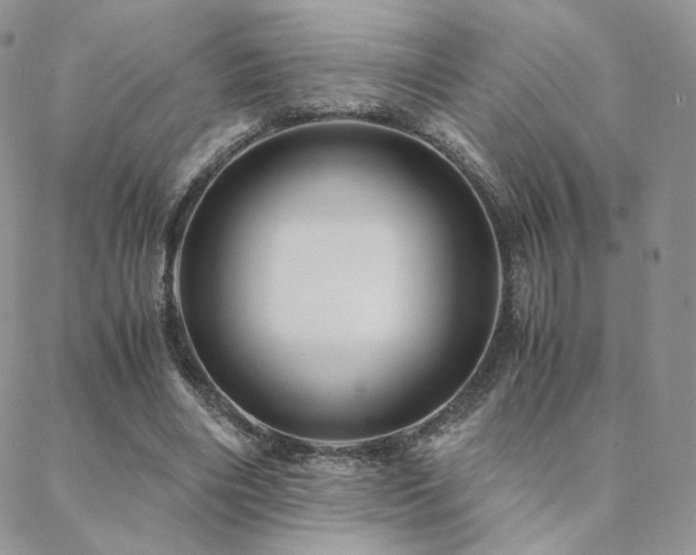 X0000088440490200705221316