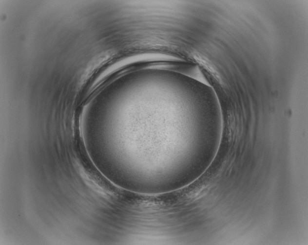 X0000088440494200705221316