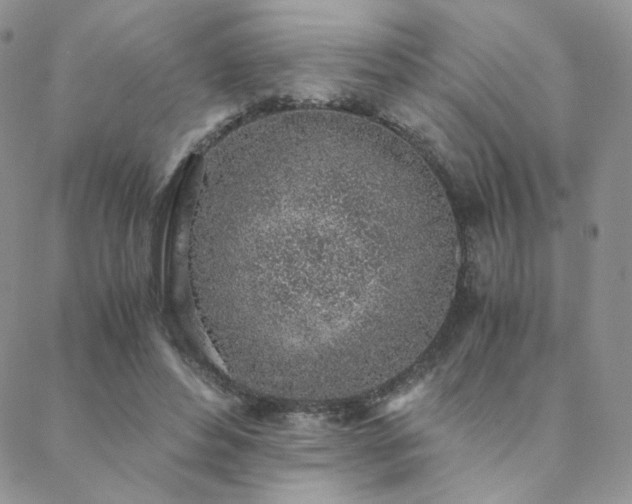 X0000088440496200705221316