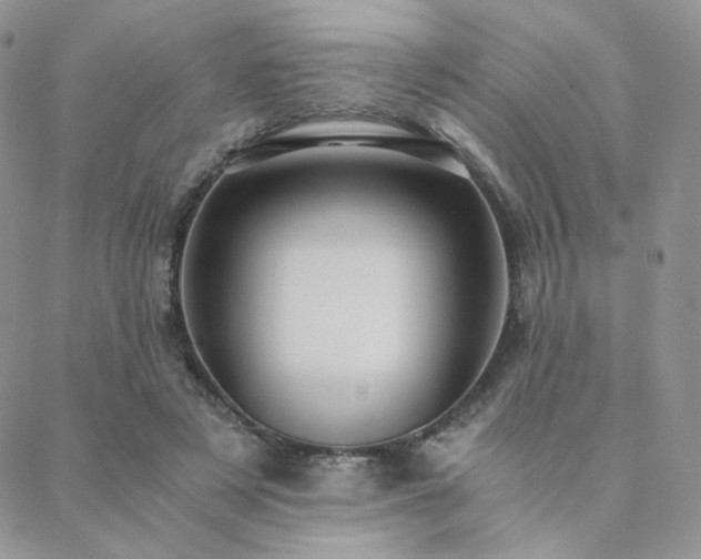 X0000088440497200705221316