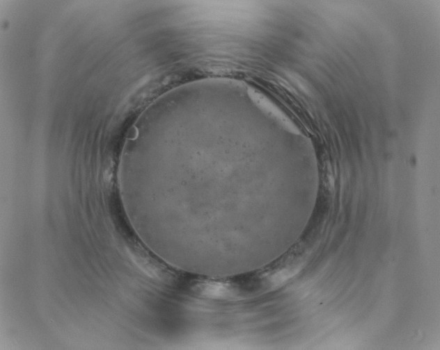 X0000088440507200705221316