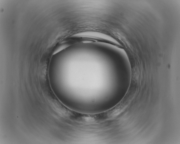 X0000088440509200705221316