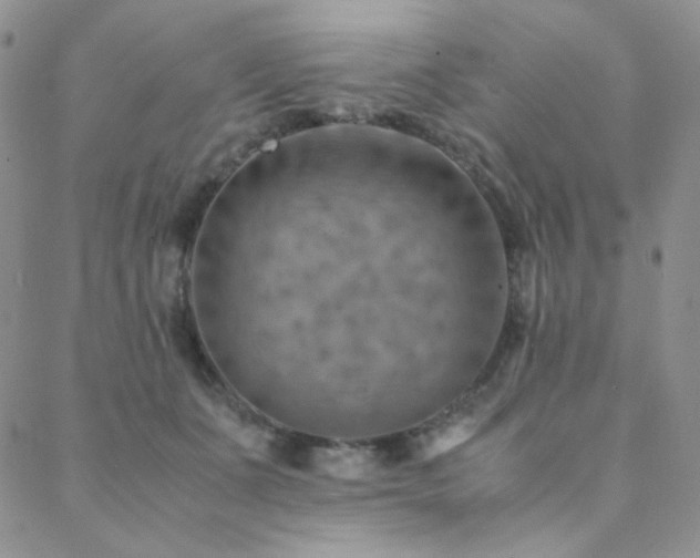 X0000088440511200705221316
