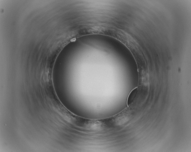 X0000088440514200705221316