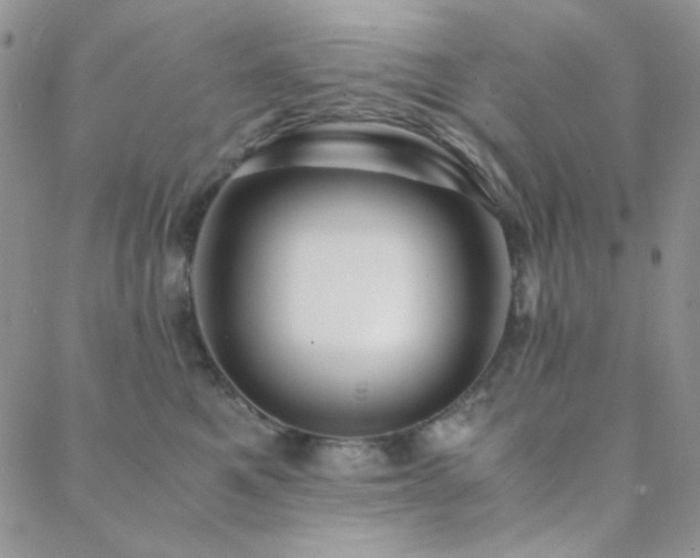 X0000088440521200705221316