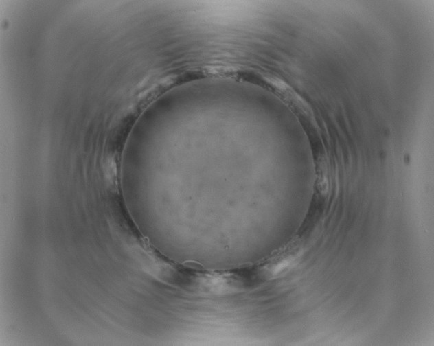 X0000088440523200705221315