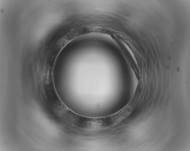 X0000088440525200705221315