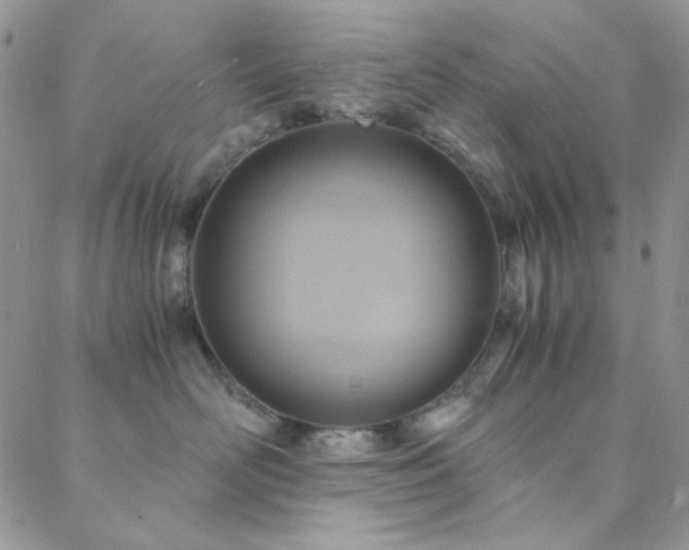 X0000088440526200705221315