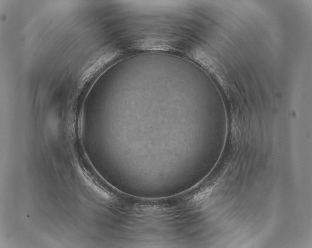 X0000088440533200705221315