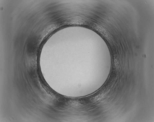 X0000088440534200705221315