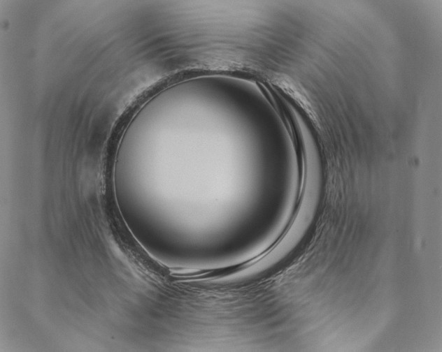 X0000088440536200705221315