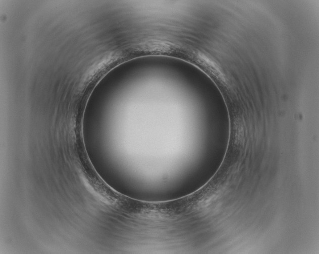 X0000088440538200705221315