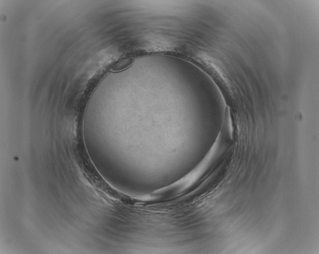 X0000088440539200705221315