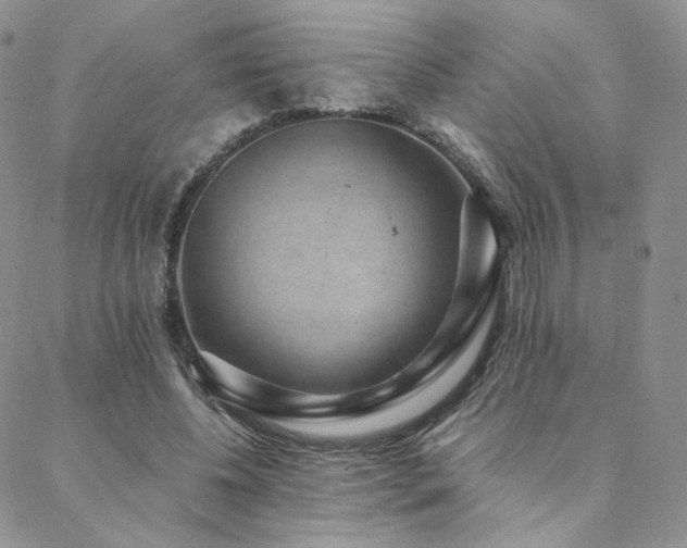 X0000088440540200705221315