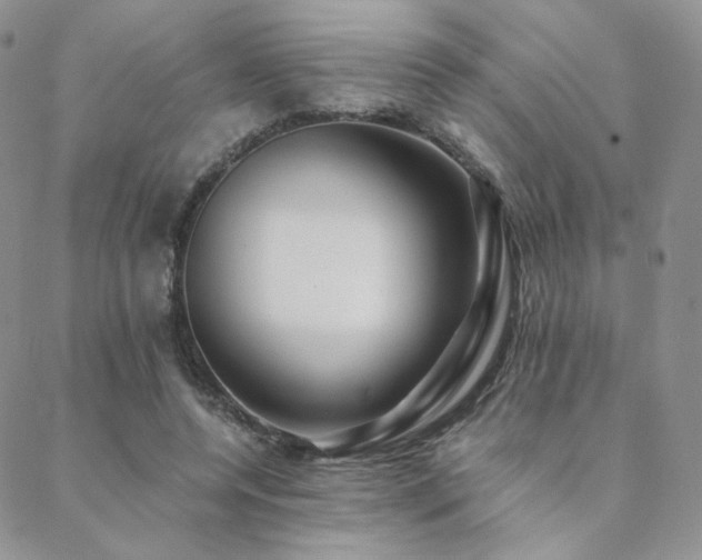 X0000088440544200705221315