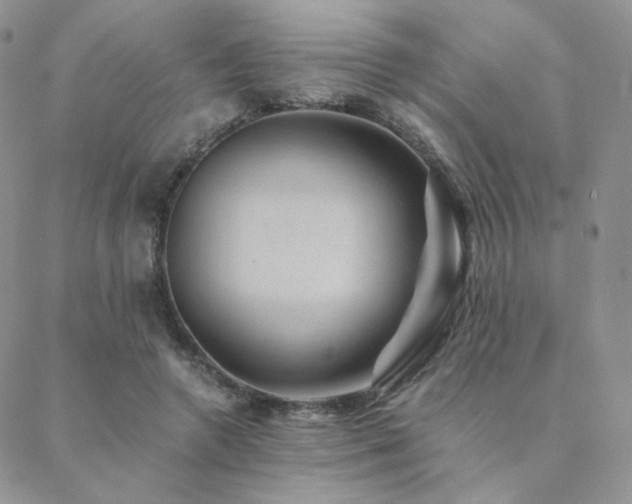 X0000088440546200705221315