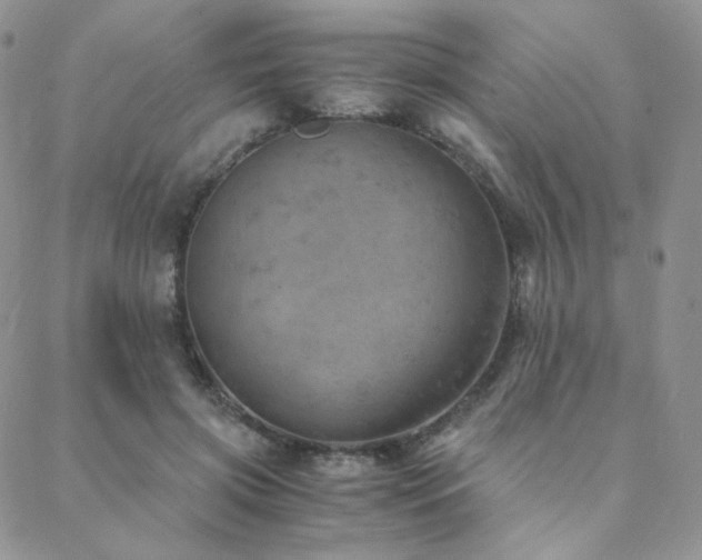 X0000088440549200705221315