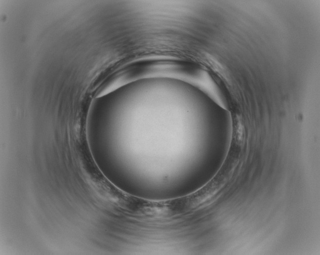 X0000088440552200705221315