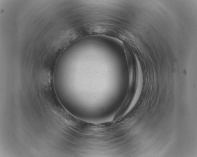X0000088440555200705221315