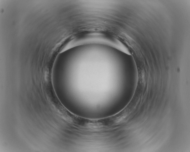 X0000088440556200705221315