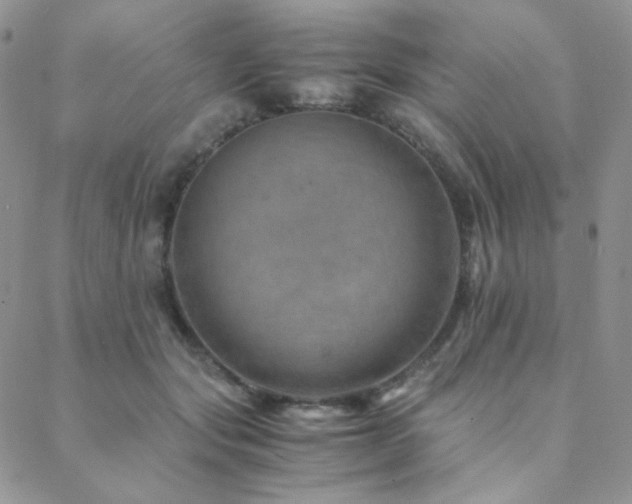 X0000088440557200705221315