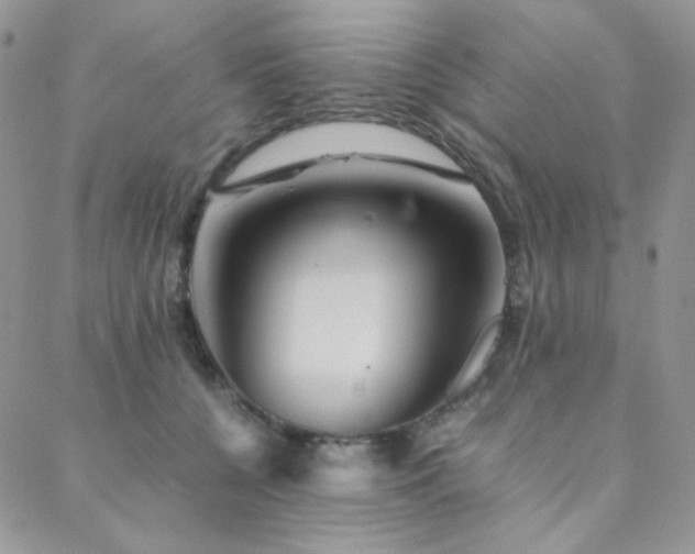 X0000088440560200705221315
