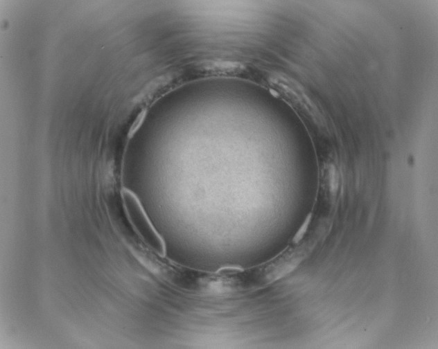 X0000088440564200705221315