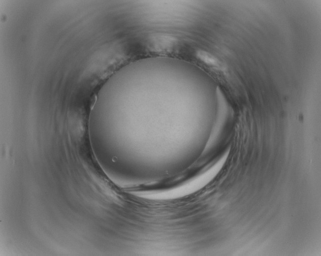 X0000088440566200705221315