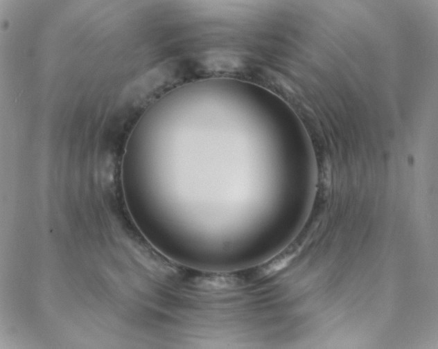 X0000088440567200705221315
