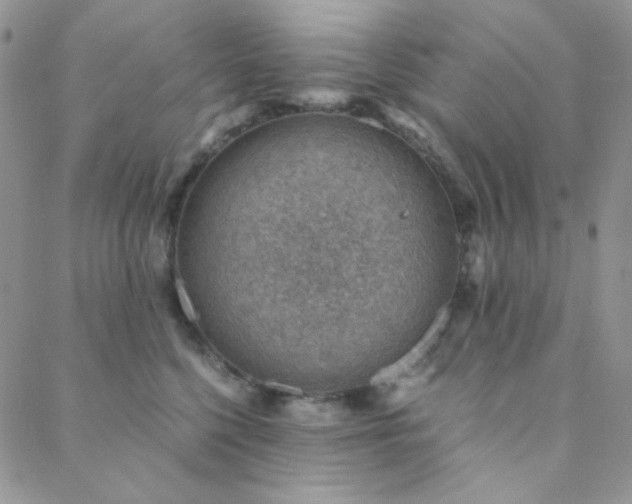 X0000088440568200705221315