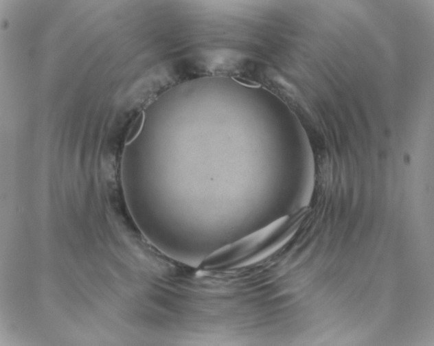 X0000088440571200705221315
