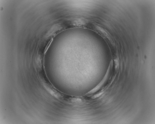 X0000088440572200705221315