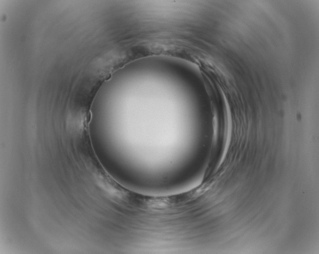 X0000088440574200705221315